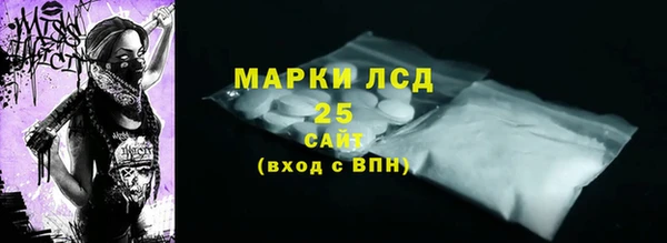 прущий лед Алзамай